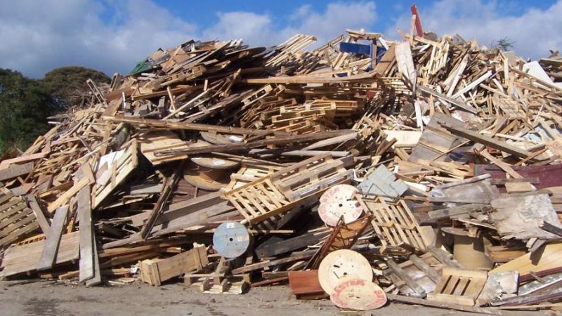 Прием древесины и деревьев — способы переработки и использование