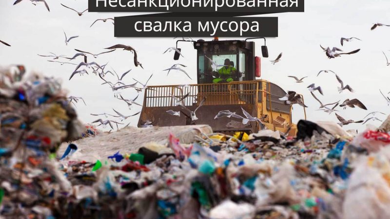 Что такое несанкционированная свалка мусора и кто должен ее убирать