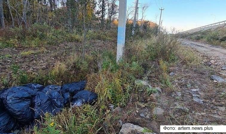 В Приморье жители жалуются на несанкционированную свалку крабовых отходов